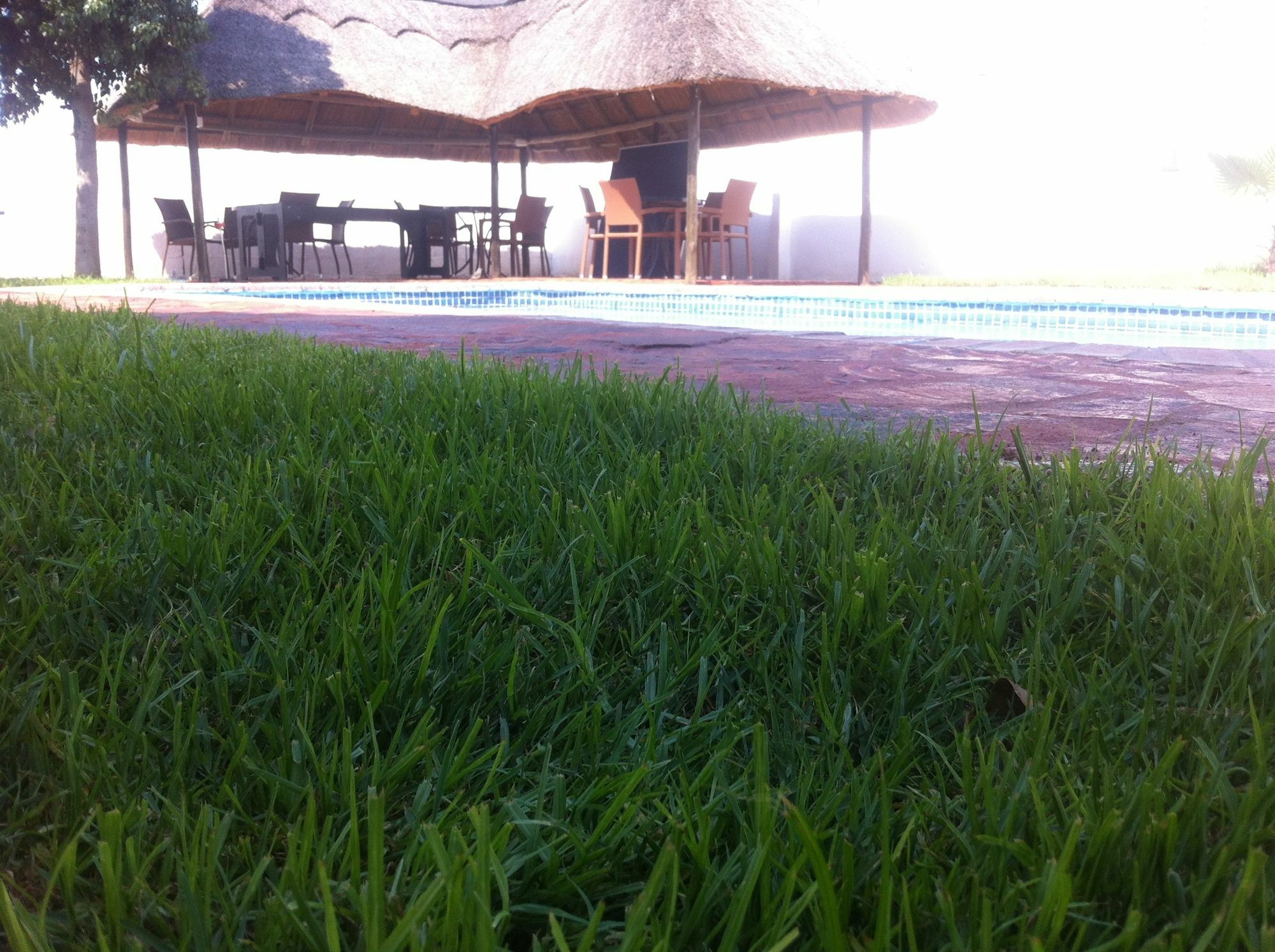 Cosy Palms Bed and Breakfast Gaborone Buitenkant foto