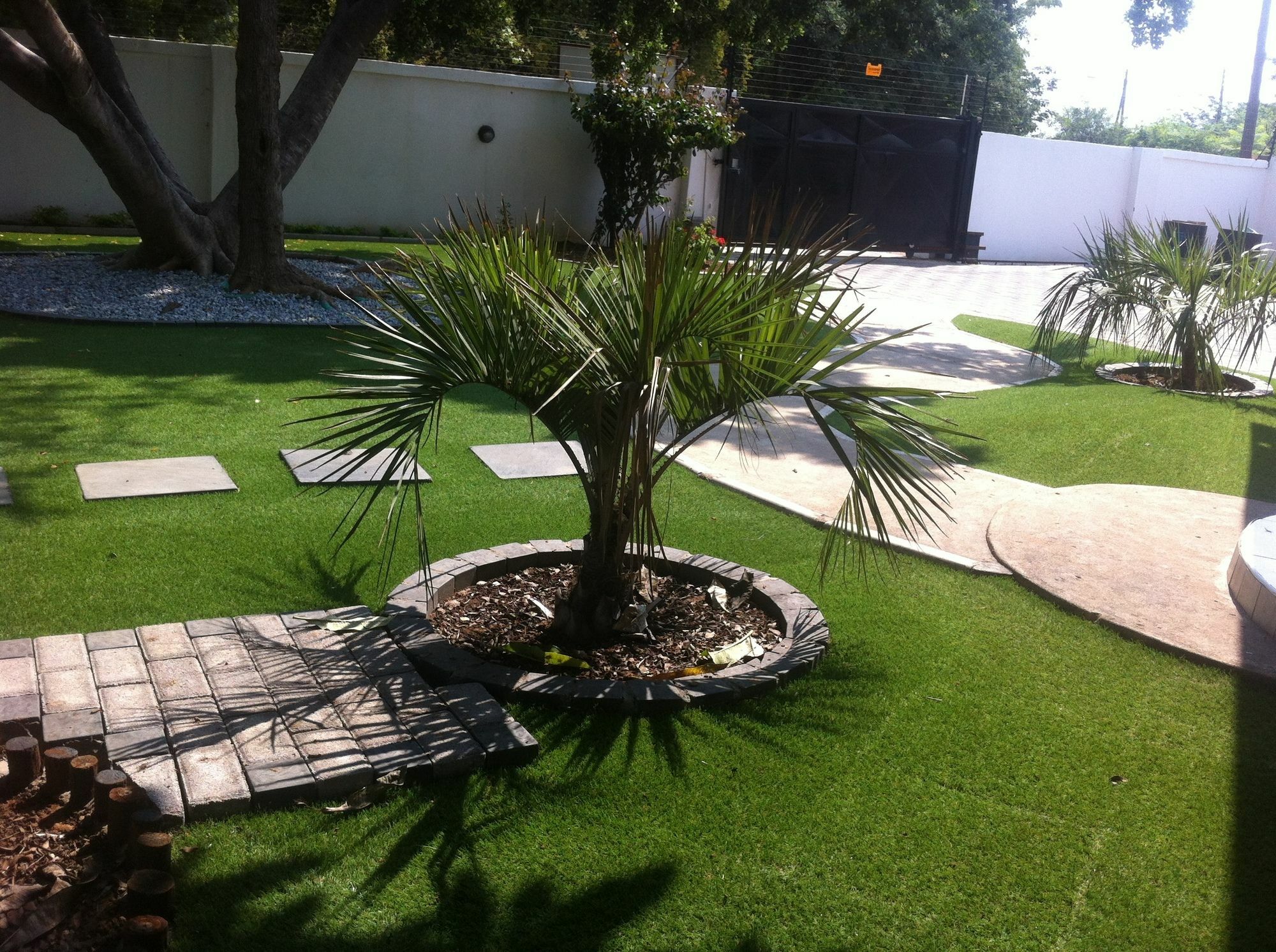 Cosy Palms Bed and Breakfast Gaborone Buitenkant foto
