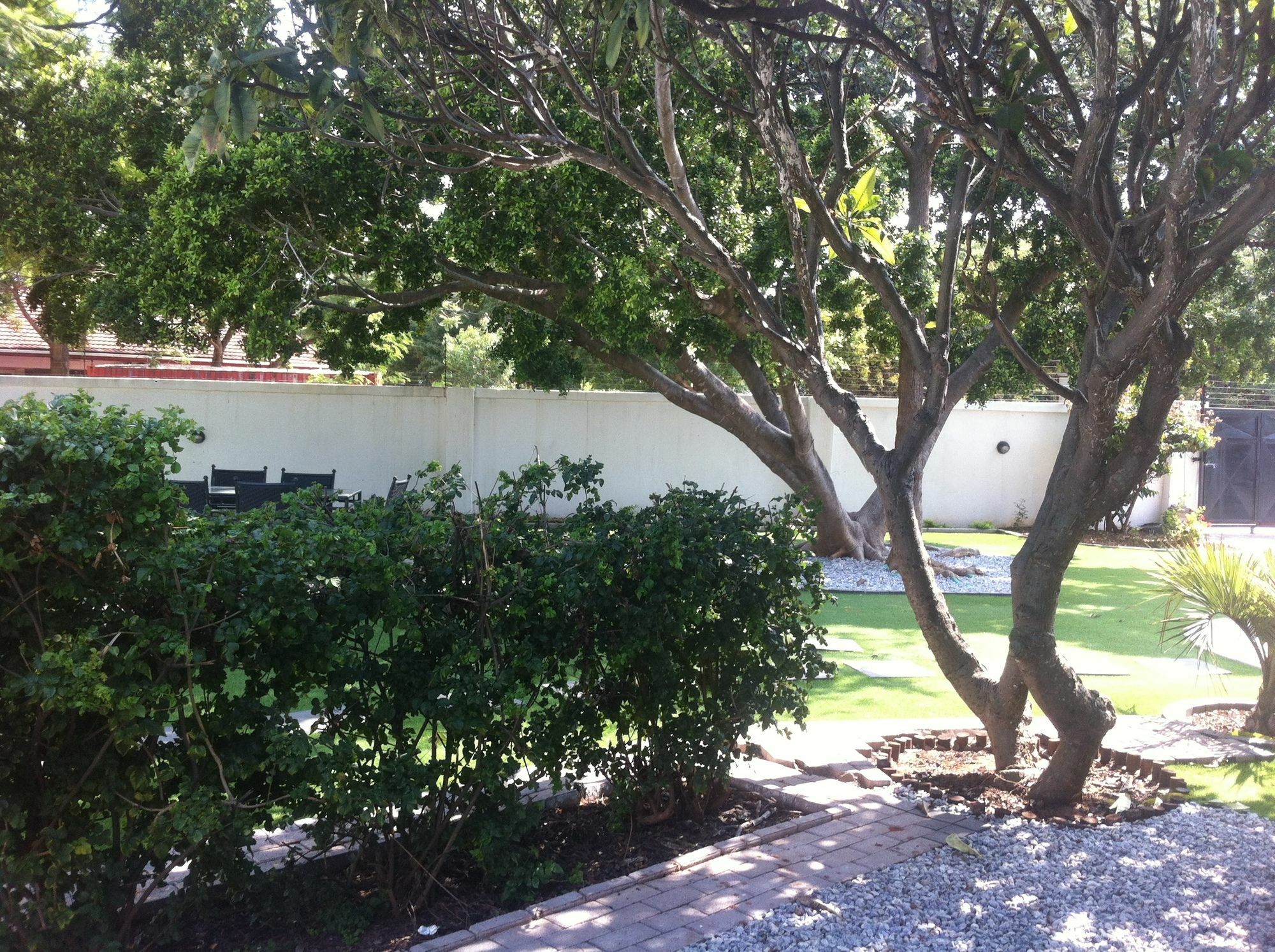 Cosy Palms Bed and Breakfast Gaborone Buitenkant foto